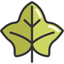 plant, fall, Leaf, nature, garden, season, maple leaf, autumn, Botanical DarkKhaki icon