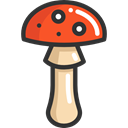 food, Mushroom, nature, Fungi, Muscaria, Food And Restaurant Black icon