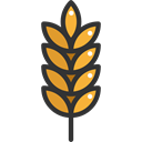food, branch, nature, leaves, Barley, Wheat, Food And Restaurant Black icon