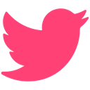 media, network, Connection, bird, Social, tweet, twitter icon DeepPink icon