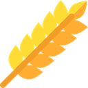 leaves, Barley, Wheat, Food And Restaurant, food, branch, nature Goldenrod icon