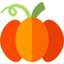 food, Fruit, pumpkin, organic, diet, vegetarian, vegan, Healthy Food, Cultures OrangeRed icon
