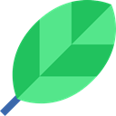 Leaf, nature, leave, garden, leaves, Botanical, plant MediumSeaGreen icon