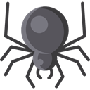 Arachnid, Animal Kingdom, insect, spider, Animals DarkSlateGray icon