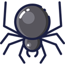 insect, spider, Animals, Arachnid, Animal Kingdom MidnightBlue icon
