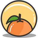 Orange, health, nutrition Khaki icon
