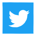 media, network, twitter, social media, Social, tweet, twitter bird DodgerBlue icon