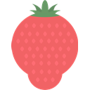 Fruit, strawberry Salmon icon