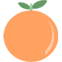 Orange, Fruit SandyBrown icon