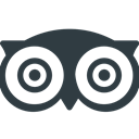 Social, tripadvisor, media, Logo DarkSlateGray icon