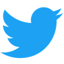Logo, twitter, bird, tweet, tweeting DodgerBlue icon