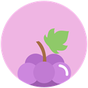 nutrition, food, Grapes Thistle icon