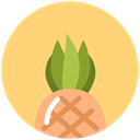 food, summer, vacation, tropical, pineapple Khaki icon