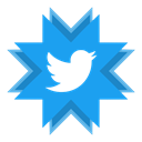 twitter, tweet, microblogging DodgerBlue icon