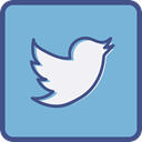 twitter, Metro, outline SkyBlue icon