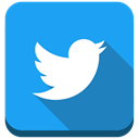 twitter, social media DodgerBlue icon