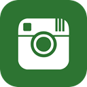 media, online, share, Business, Social, Instagram ForestGreen icon