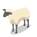 Farm, rural, Animal, Sheep, Animals Black icon