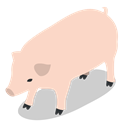 Animal, pig, Animals, Farm, rural Bisque icon