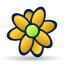 Flower, icq Goldenrod icon