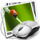 Showfoto Olive icon