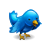 bird, Blue, Animal, twitter DodgerBlue icon
