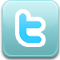 twitter, bird CadetBlue icon