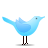 Animal, standing, twitter, bird LightSkyBlue icon