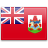 Bermuda Icon