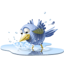 pool, twitter, tweet, Animal, bird, water Black icon