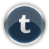 Tumblr Gainsboro icon