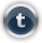 Tumblr DarkSlateGray icon