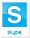 Skype Icon