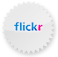 flickr Lavender icon