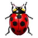 insect, ladybird, bug Black icon