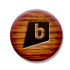 Brightkite Icon