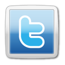40, twitter SteelBlue icon