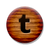 Tumblr Icon