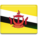 flag, Brunei Gold icon