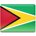 Guyana, flag MediumSeaGreen icon