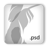 Psd Silver icon