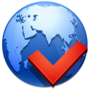 network, Service SteelBlue icon