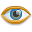 Eye Icon