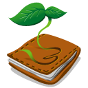 organic, green, plant, wallet Sienna icon