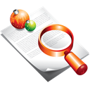 christmas, document, search, Find Icon