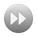 ffw, grey, button Gray icon