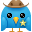 Sheriff Icon