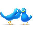 talk, bird, Animals, twitter, birds, Chat Black icon