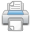 Print Icon