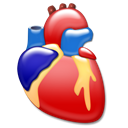 organ, Heart, Cardiology Black icon